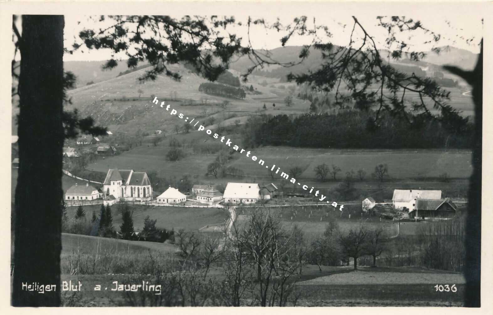 Heiligenblut am Jauerling 